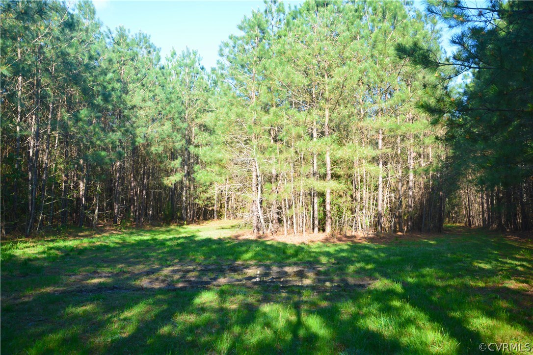 Open space with nice loop road for hunting, campin