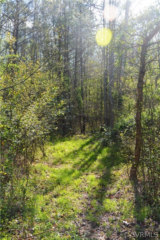 0 Deep Bottom Road Henrico, VA 23231 - Photo 8 of 23 Nice paths and trails throughout