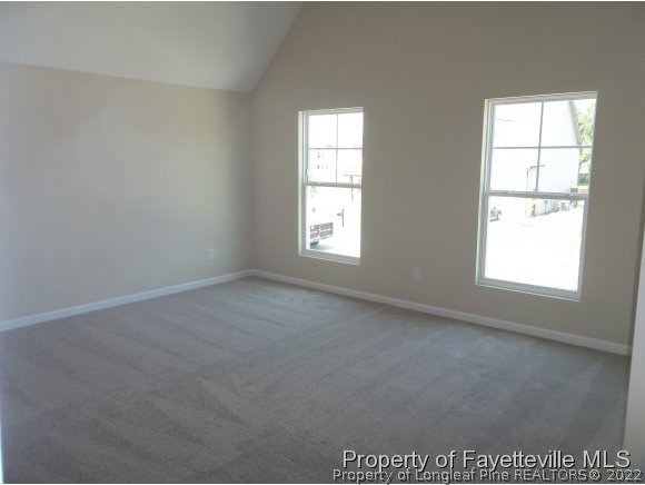 161 Wallflower Road Raeford, NC 28376 - Photo 20 of 23 Gallery Image 20