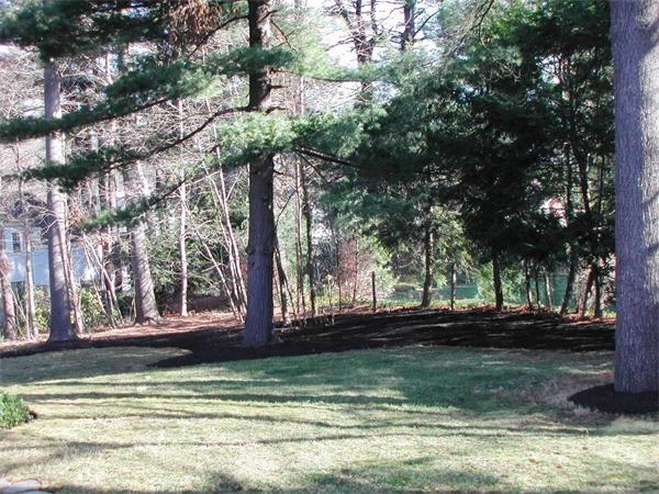 8 Lehigh Road Wellesley, MA 02482 - Photo 17 of 18