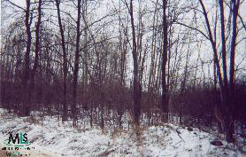 0 Irwin Parcel 2 Armada, MI 48005 - Photo 2 of 3 881568-1.JPG