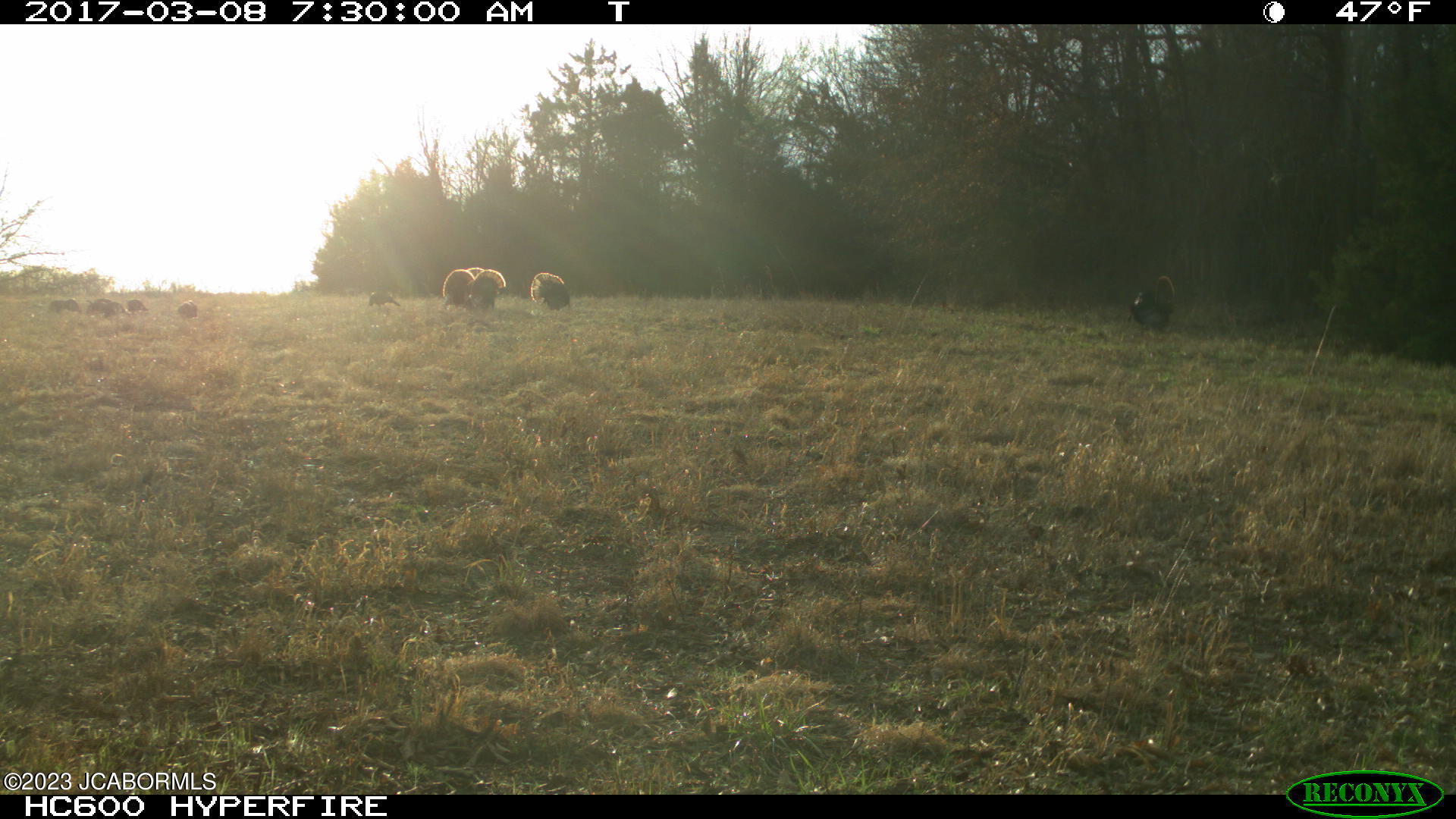 Tbd Big Lick Road Boonville, MO 65233 - Photo 45 of 59