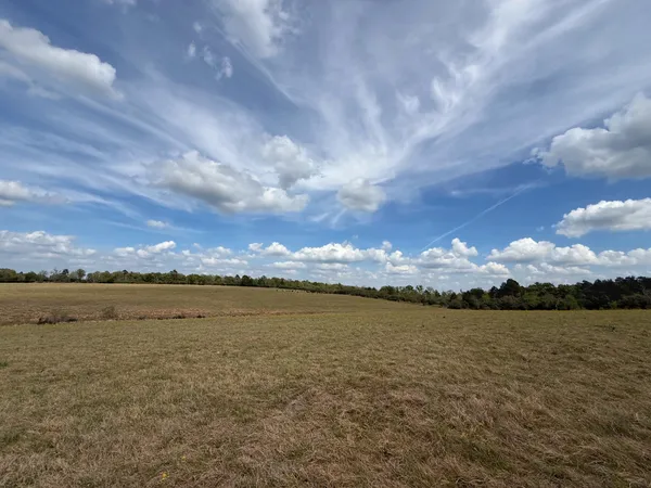 an outdoor view of house with outdoor space