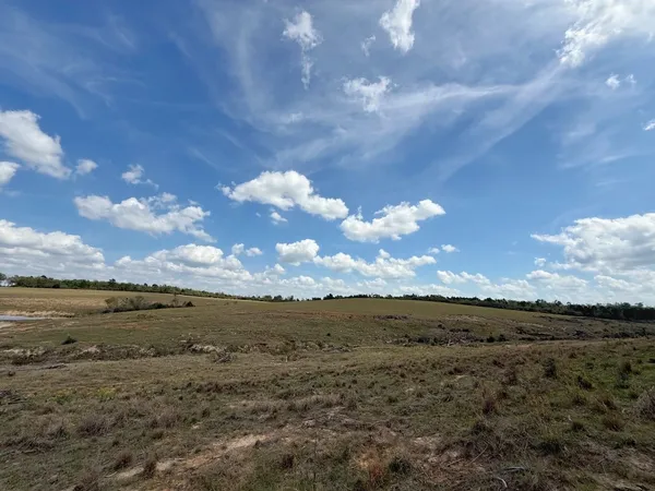 a view of a lake in middle of forest