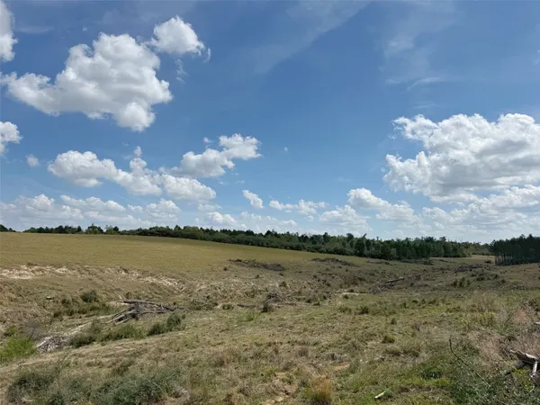 $1,215,500 | 236 Oakwood Tx 75855, Oakwood, TX 75855