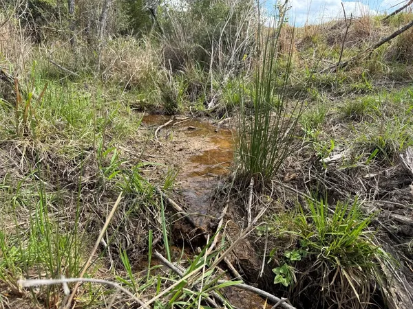 $1,215,500 | 236 Oakwood Tx 75855, Oakwood, TX 75855