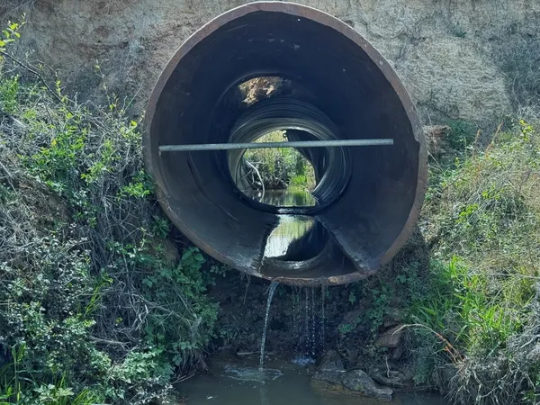 $1,215,500 | 236 Oakwood Tx 75855, Oakwood, TX 75855