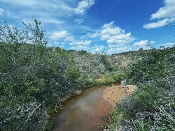 $1,215,500 | 236 Oakwood Tx 75855, Oakwood, TX 75855