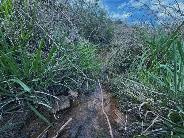 a view of an ocean and mountain