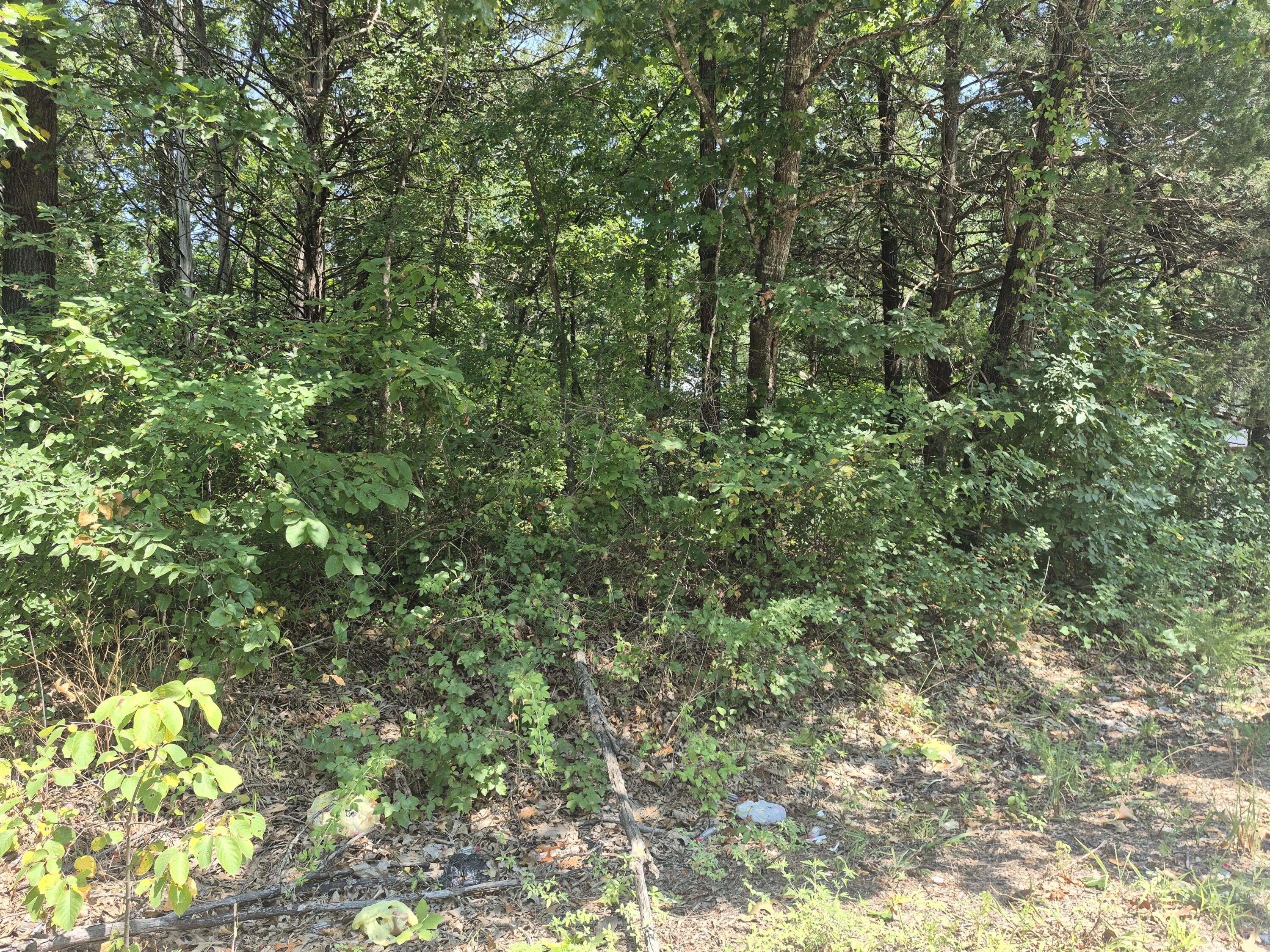 5-6 East Gate Road Rockaway Beach, MO 65740 - Photo 2 of 3 1000020544