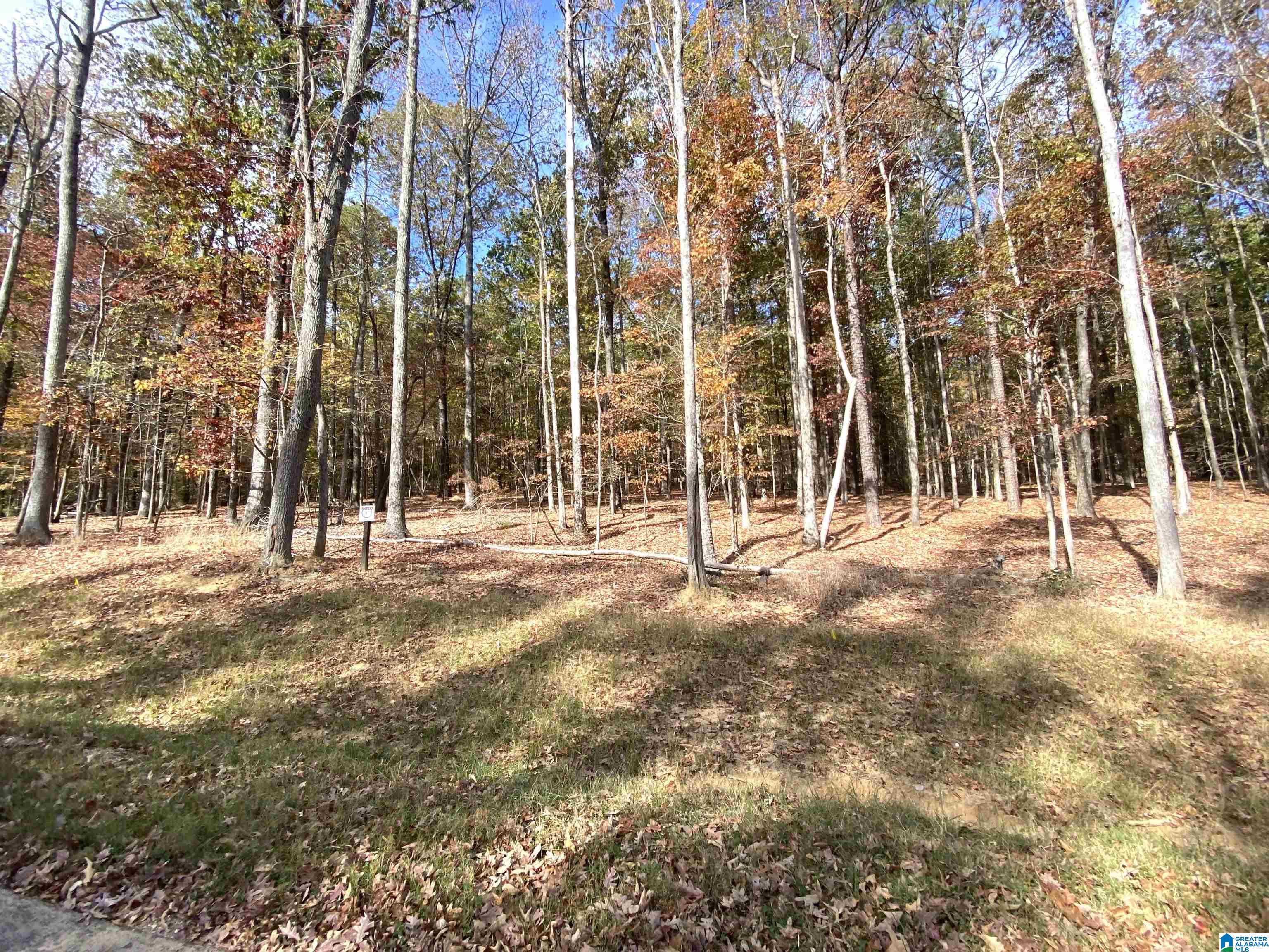 836 Cavalier Ridge, Unit 47 Birmingham, AL 35242 - Photo 6 of 28