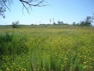 5420 County Rd 212 Ralls, TX 79343 - Photo 1 of 1 Photo 1