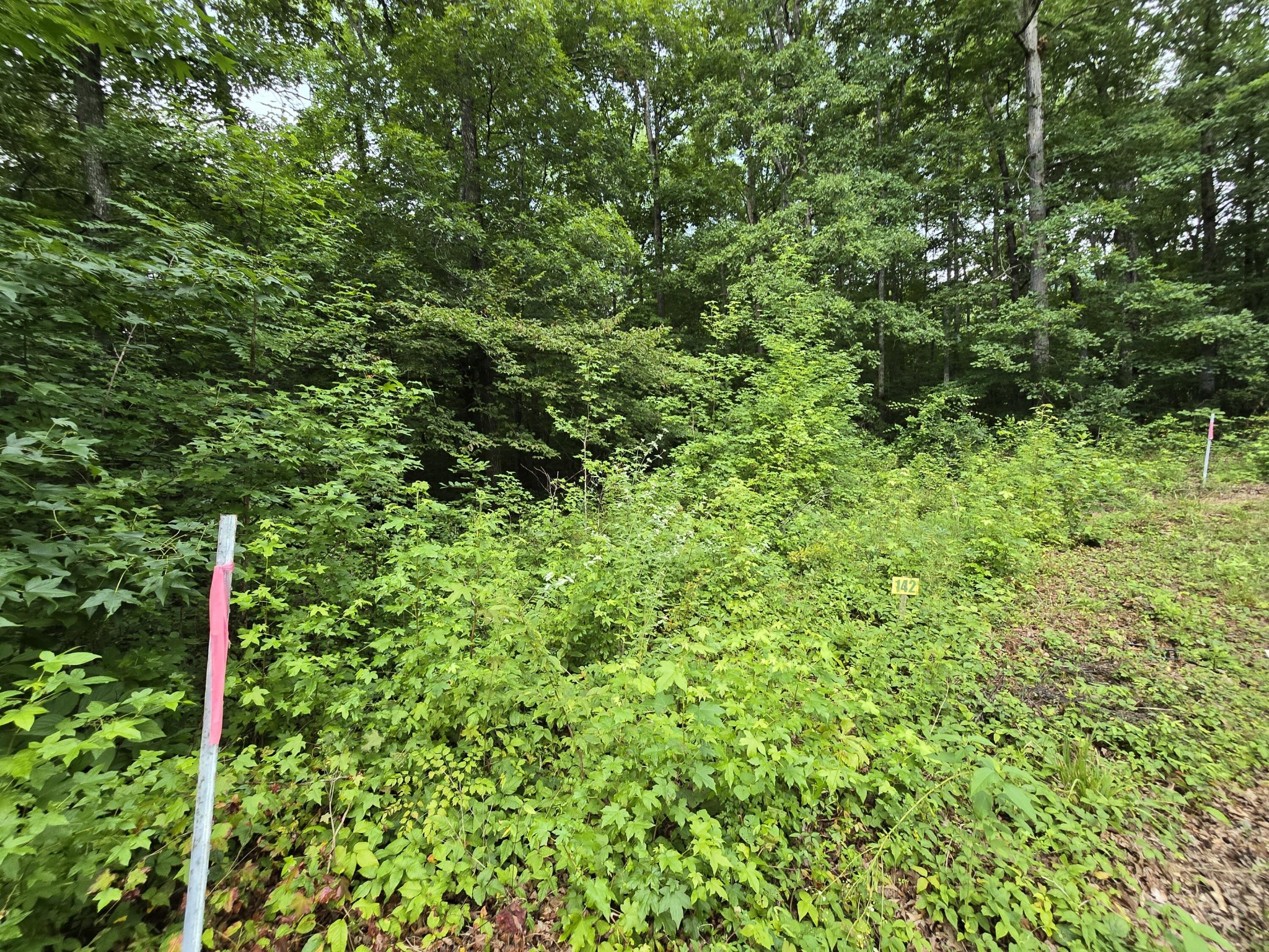 142 Lower Brow Road Dunlap, TN 37327 - Photo 3 of 6