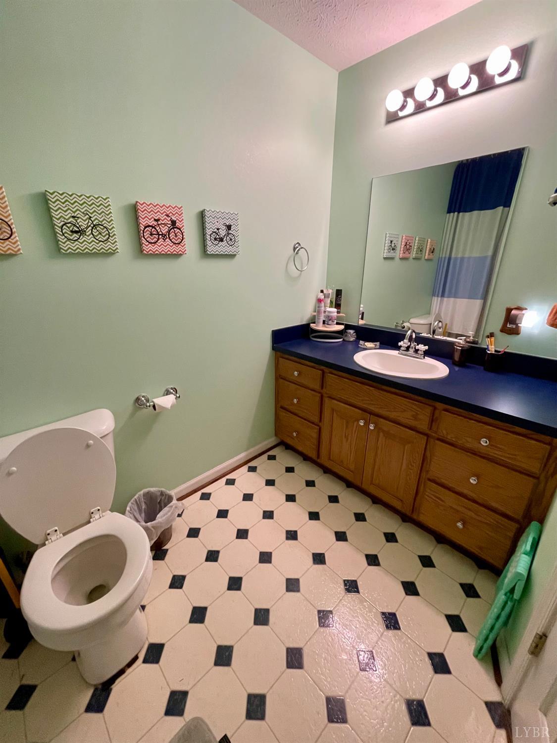 921 Alum Springs Road Forest, VA 24551 - Photo 72 of 82