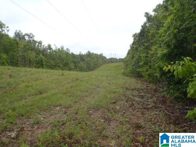0 Shocco Springs Road, Unit 40 5 AC Talladega, AL 35160 - Photo 23 of 30