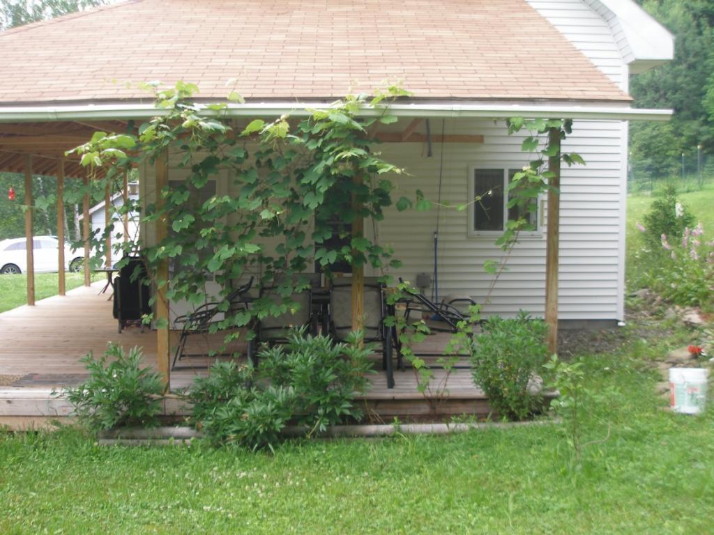 956 Schofield Road Deposit, NY 13754 - Photo 3 of 24