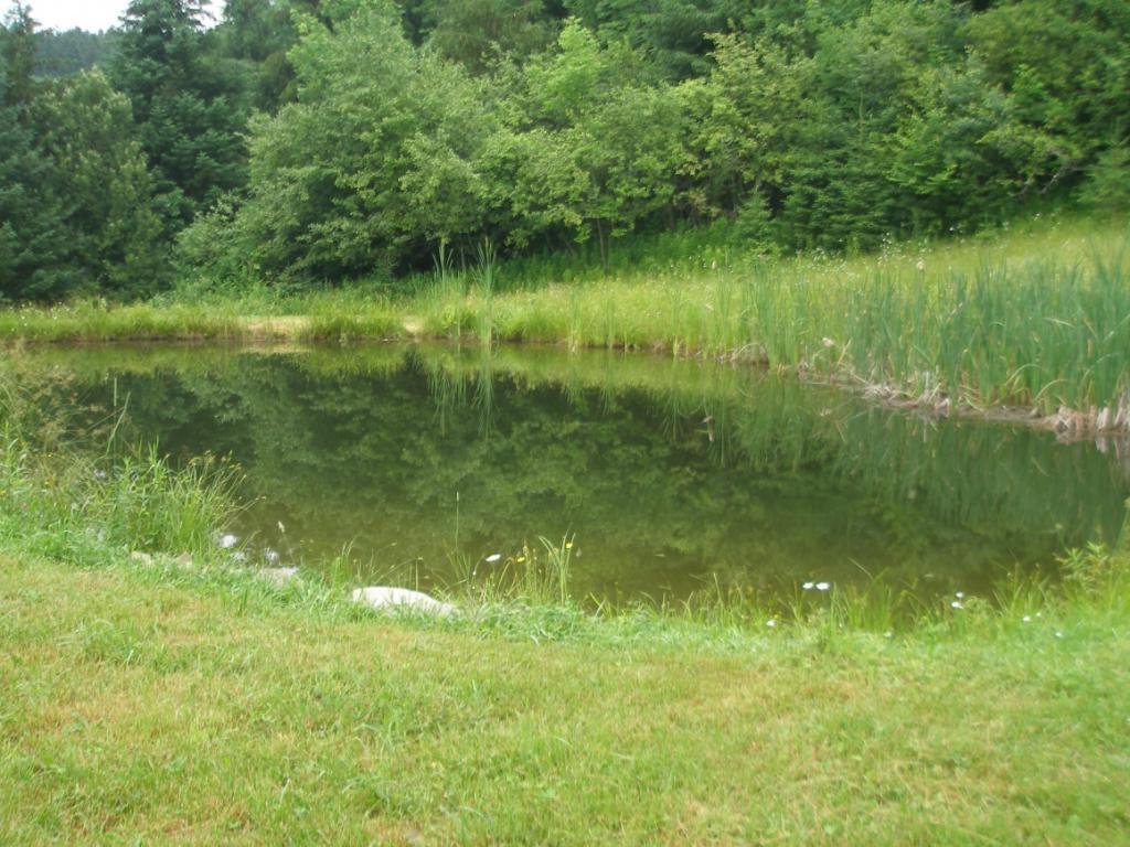 956 Schofield Road Deposit, NY 13754 - Photo 5 of 24