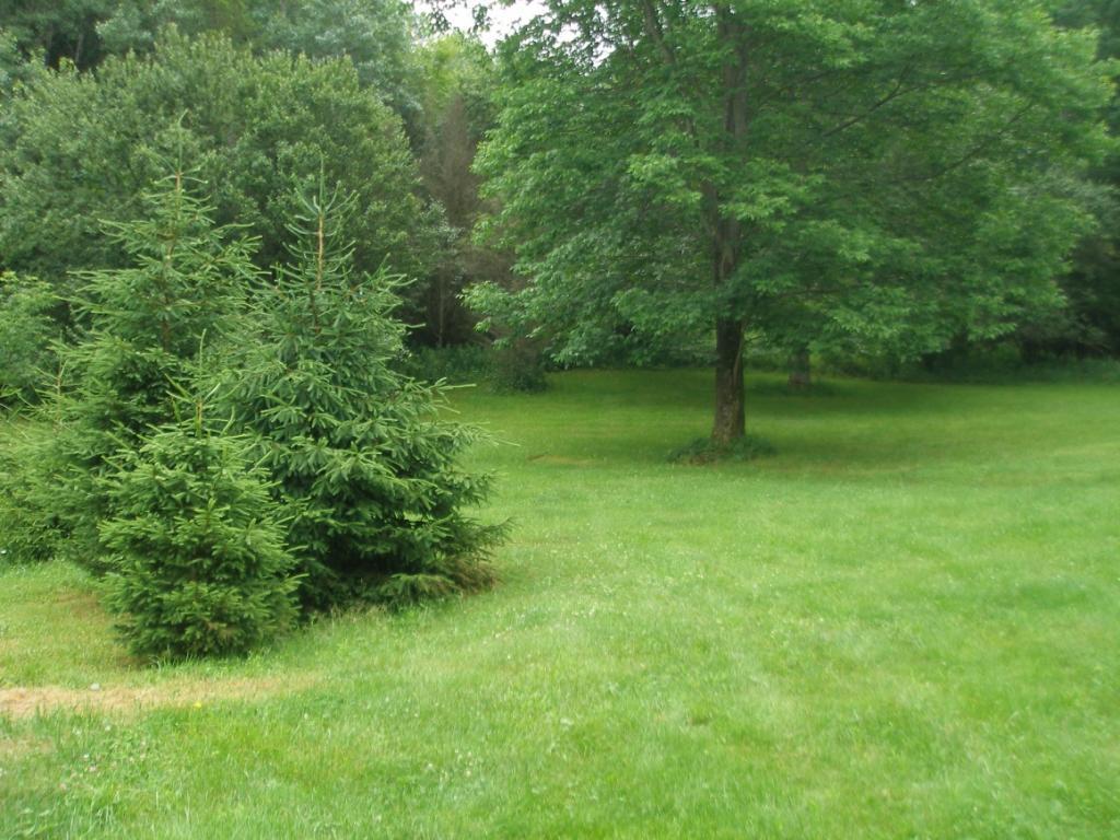 956 Schofield Road Deposit, NY 13754 - Photo 6 of 24