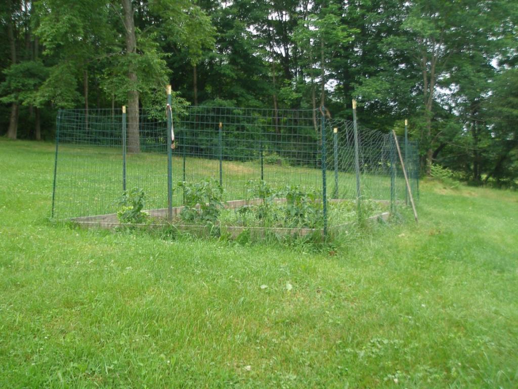 956 Schofield Road Deposit, NY 13754 - Photo 7 of 24