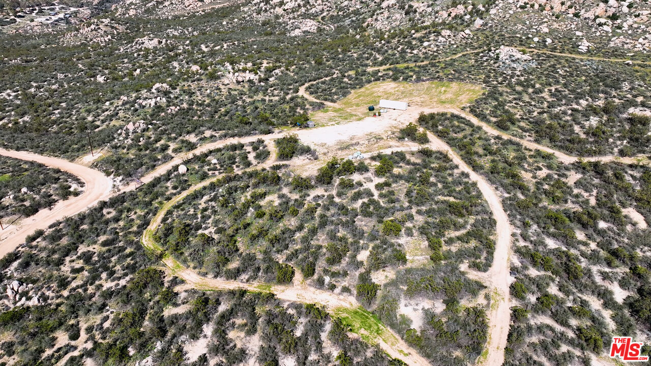 4 Sycamore Falls Road Aguanga, CA 92536 - Photo 26 of 67 a close up of a tree