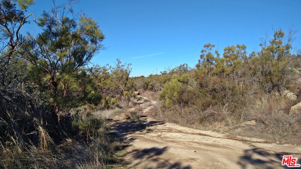 4 Sycamore Falls Road Aguanga, CA 92536 - Photo 36 of 67 a view of a yard with a tree
