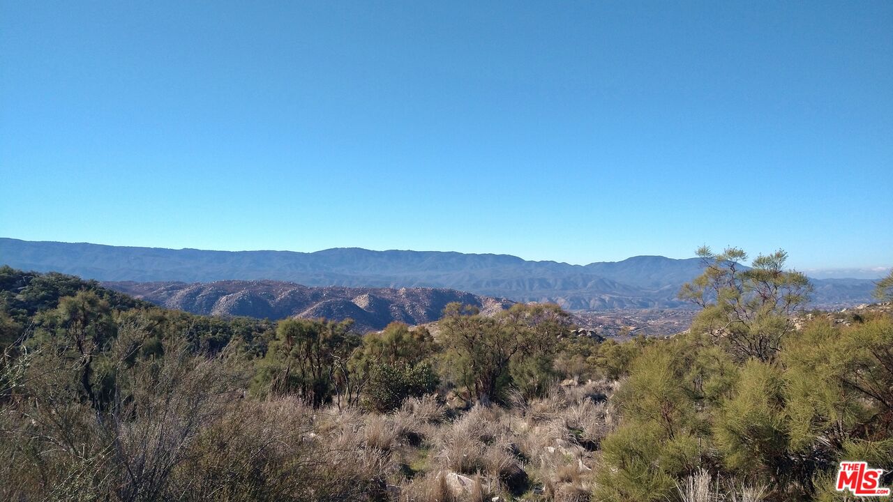 4 Sycamore Falls Road Aguanga, CA 92536 - Photo 43 of 67 a view of a lush green forest with mountains in the background
