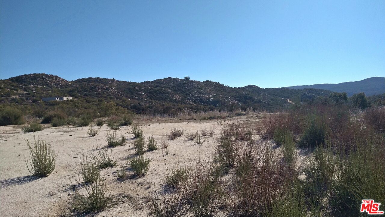 4 Sycamore Falls Road Aguanga, CA 92536 - Photo 45 of 67 a view of a large tree with mountains in the background