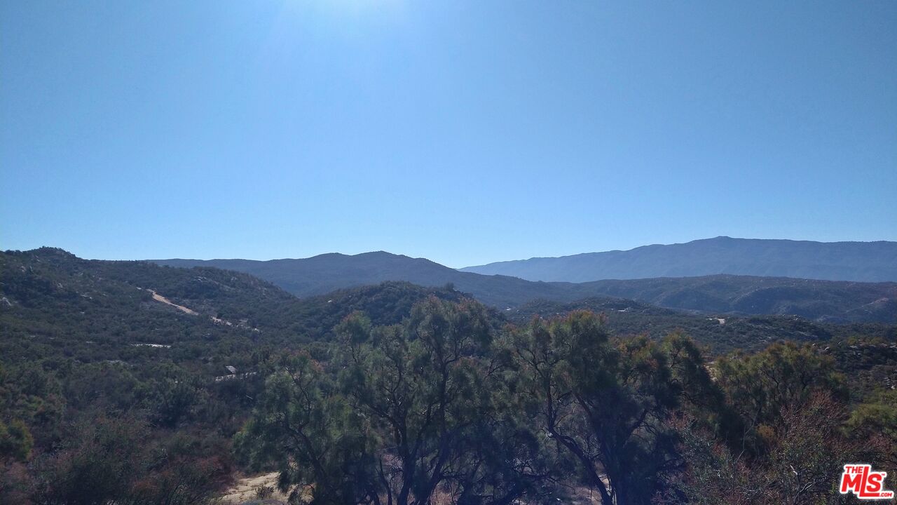 4 Sycamore Falls Road Aguanga, CA 92536 - Photo 50 of 67 a view of a lush green forest with mountains in the background