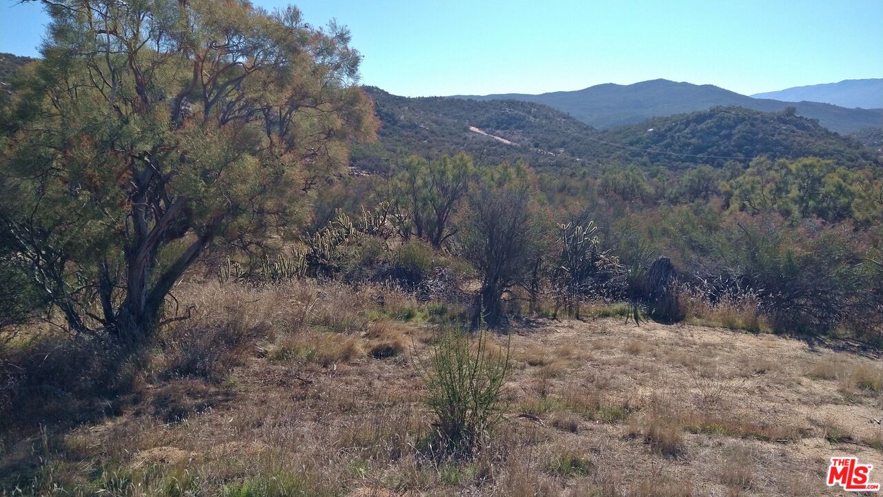 4 Sycamore Falls Road Aguanga, CA 92536 - Photo 54 of 67