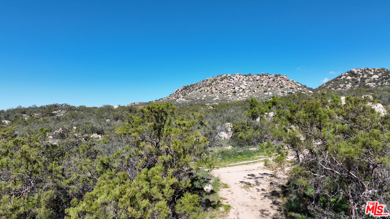 4 Sycamore Falls Road Aguanga, CA 92536 - Photo 6 of 67 a view of a yard with a tree in the background
