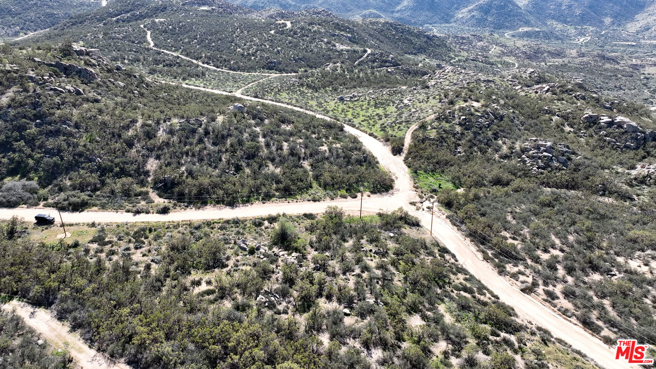 4 Sycamore Falls Road Aguanga, CA 92536 - Photo 8 of 67 a view of a forest with a tree
