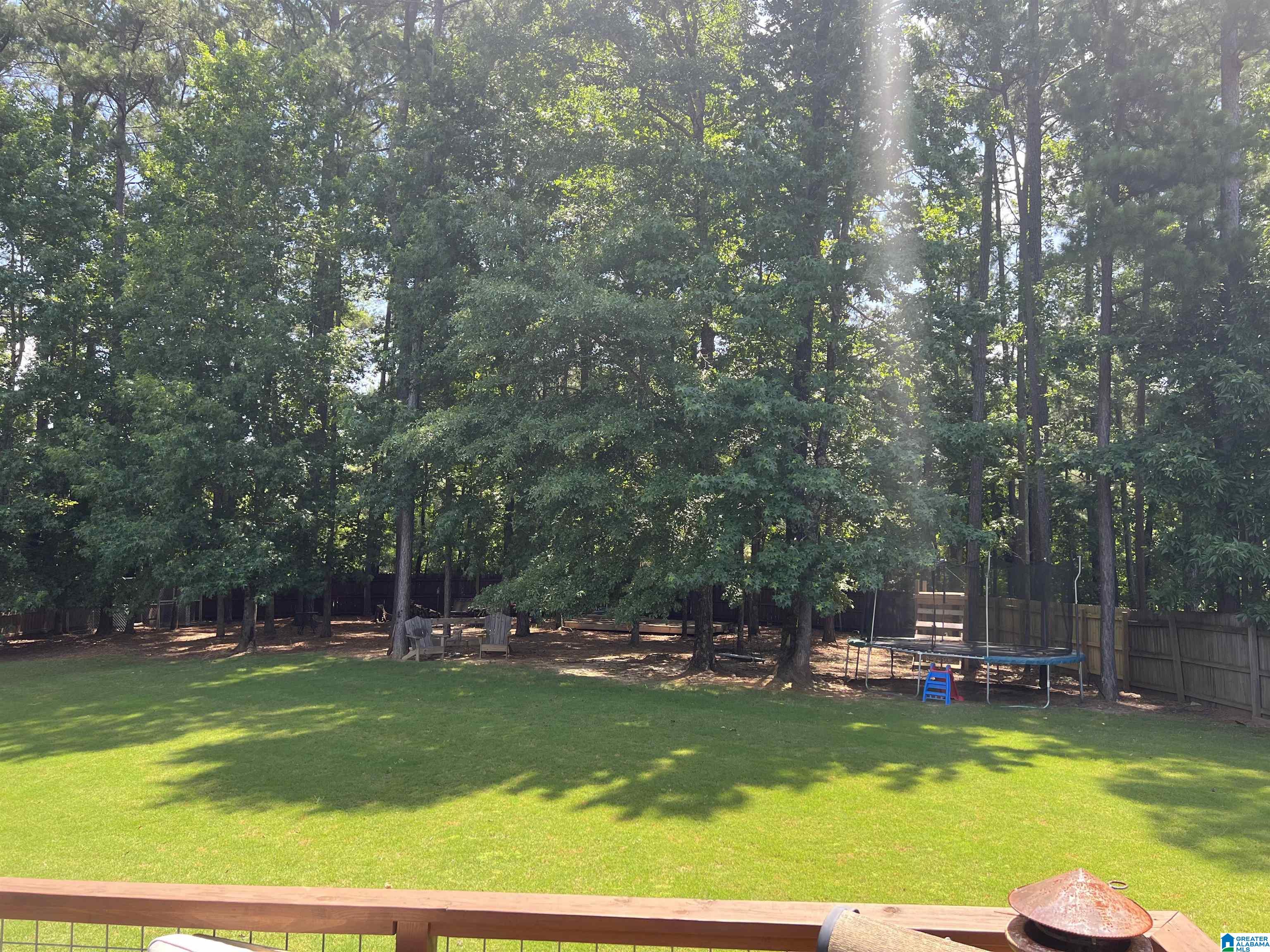 116 River Birch Road Chelsea, AL 35043 - Photo 3 of 16