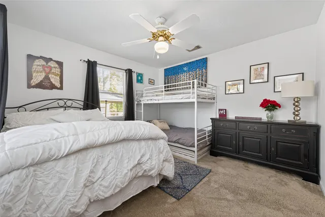 a view of a park with large trees