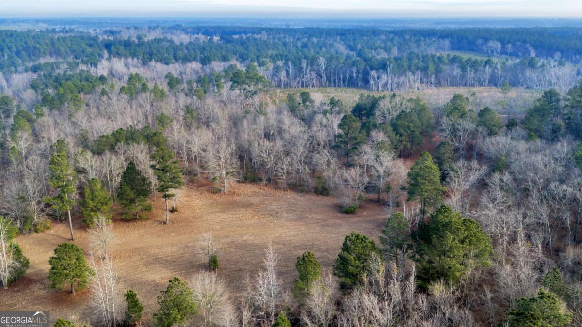 241 Foskey Cemetery Road Adrian, GA 31002 - Photo 21 of 95