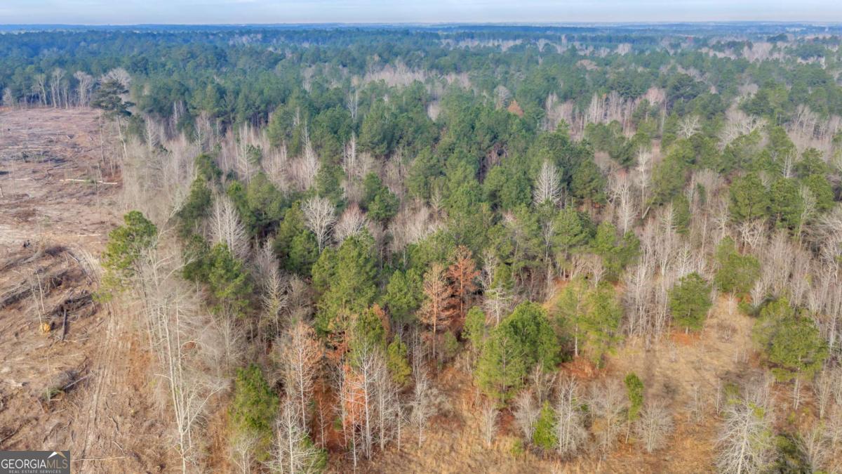 241 Foskey Cemetery Road Adrian, GA 31002 - Photo 22 of 95
