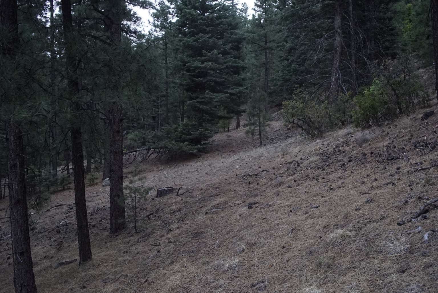 0 A015 County Road Mora, NM 87732 - Photo 26 of 40