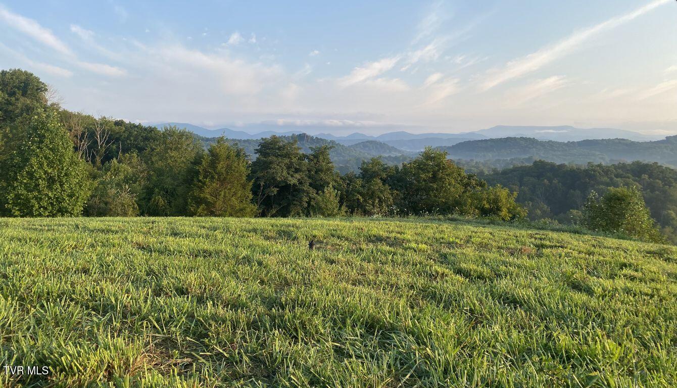 Lot 5 Logan Creek Road, Unit 5A Meadowview, VA 24361 - Photo 11 of 18 11