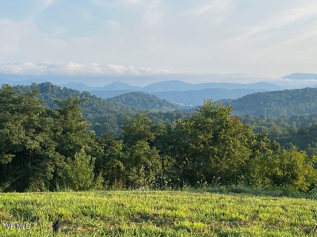 Lot 5 Logan Creek Road, Unit 5A Meadowview, VA 24361 - Photo 13 of 18 13