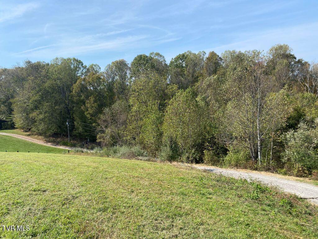 Lot 5 Logan Creek Road, Unit 5A Meadowview, VA 24361 - Photo 17 of 18 17