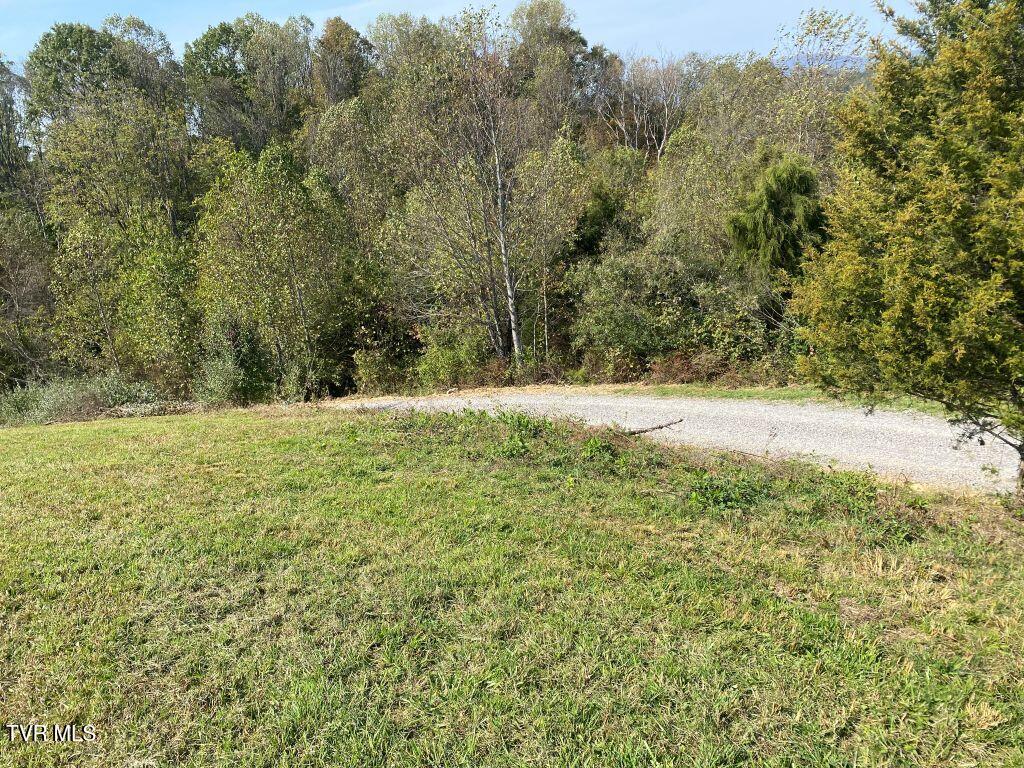 Lot 5 Logan Creek Road, Unit 5A Meadowview, VA 24361 - Photo 18 of 18 18