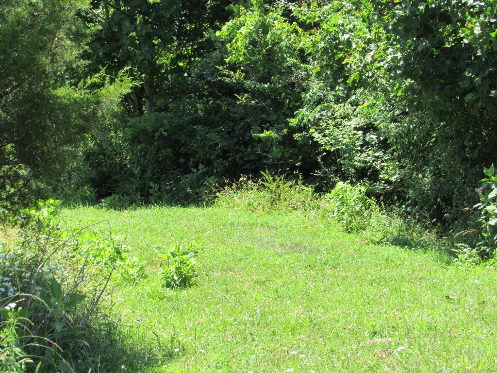 Lot 5 Logan Creek Road, Unit 5A Meadowview, VA 24361 - Photo 3 of 18 3