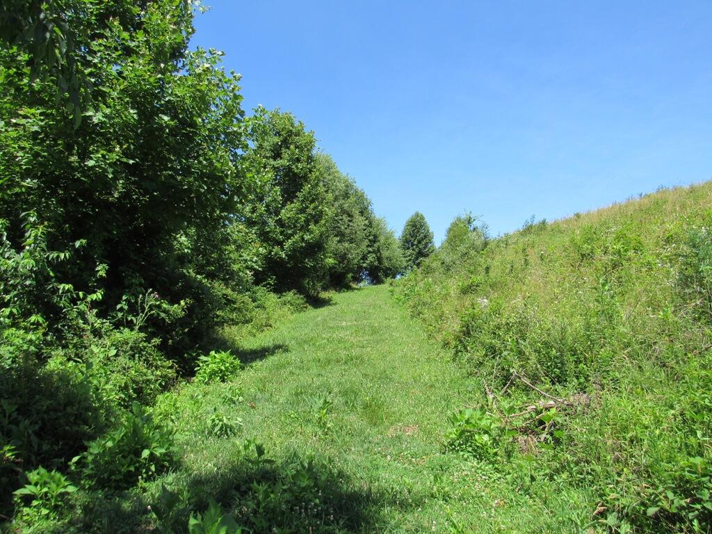 Lot 5 Logan Creek Road, Unit 5A Meadowview, VA 24361 - Photo 4 of 18 4
