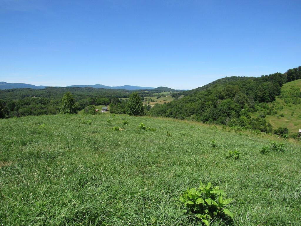 Lot 5 Logan Creek Road, Unit 5A Meadowview, VA 24361 - Photo 5 of 18 5