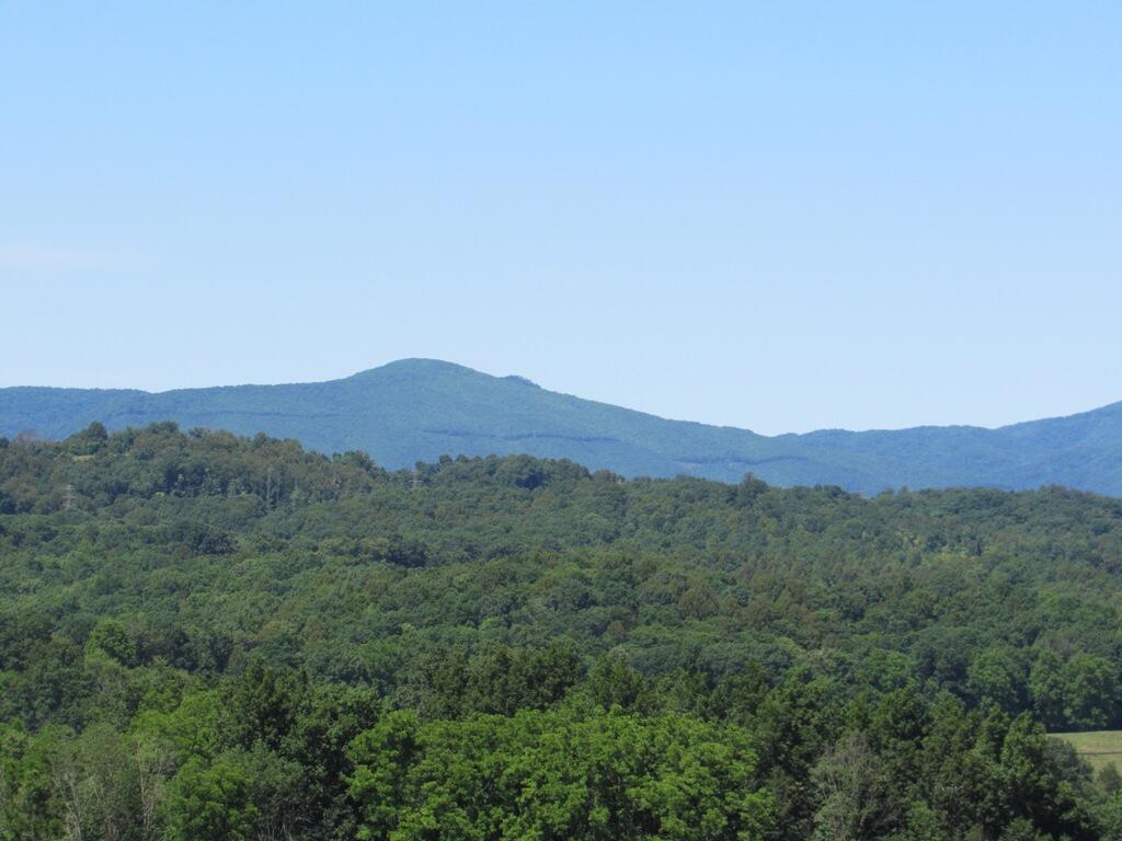 Lot 5 Logan Creek Road, Unit 5A Meadowview, VA 24361 - Photo 6 of 18 6