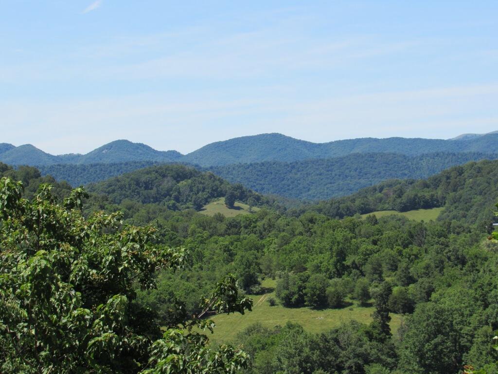 Lot 5 Logan Creek Road, Unit 5A Meadowview, VA 24361 - Photo 7 of 18 7