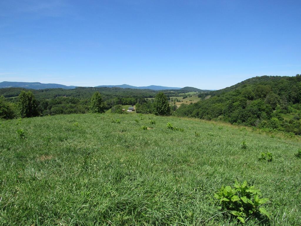 Lot 5 Logan Creek Road, Unit 5A Meadowview, VA 24361 - Photo 8 of 18 8