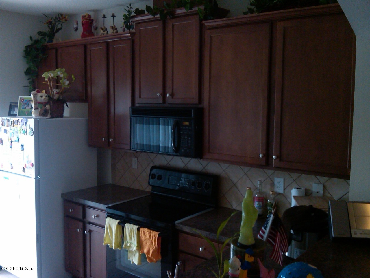 13070 Shallowater Road Jacksonville, FL 32258 - Photo 3 of 16 IMG02048-20121113-1310