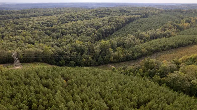 an aerial view of forest