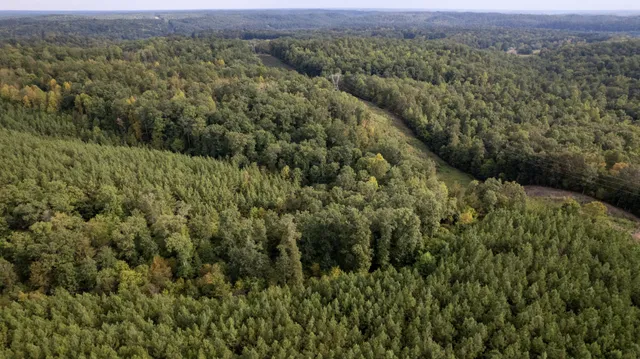 $599,900 | 0 Old Richmond Road, Nunnelly, TN 37137