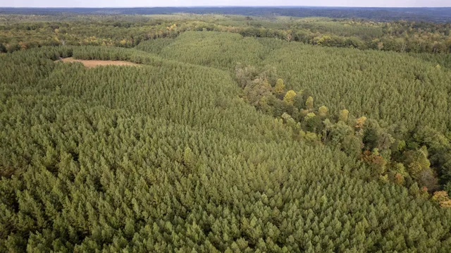 $599,900 | 0 Old Richmond Road, Nunnelly, TN 37137